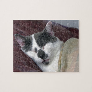 Quebra-cabeça Gato que Napping