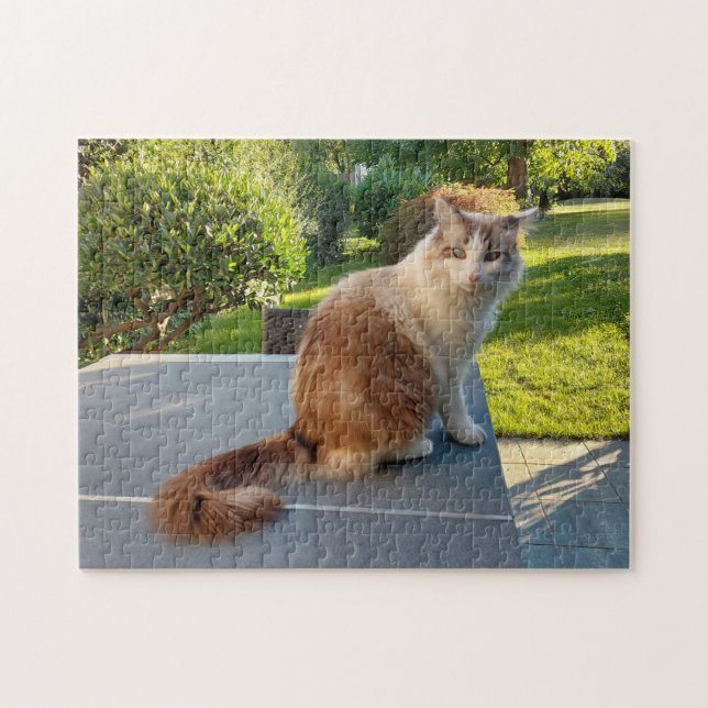 Quebra-cabeça gato ragdoll (Horizontal)