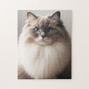 Quebra-cabeça Gato Ragdoll de Olhos Azuis   Luxo Fofo