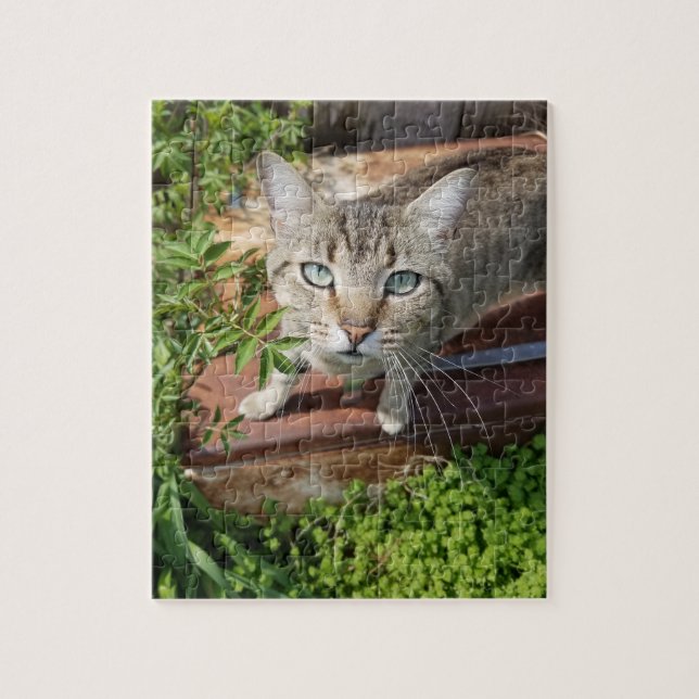 Quebra-cabeça Gato Russo ao Exterior (Vertical)