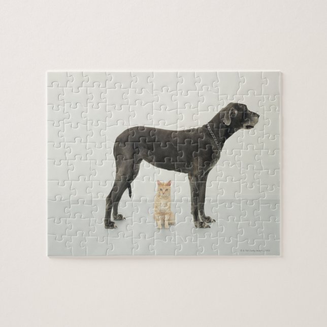 Quebra-cabeça Gato sentado embaixo de Great Dane (Horizontal)