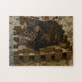 Quebra-cabeça Gato Tabby Fofo na Caixa de Inserção de Aspirador