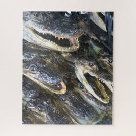 Quebra-cabeça Gator Head Jigsaw Puzzle