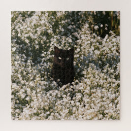 Quebra-cabeça Gatos Bloom à Meia-Noite