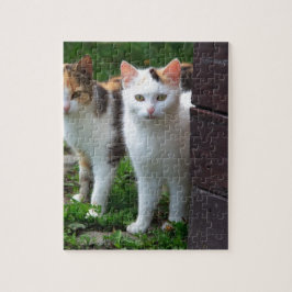 Quebra-cabeça Gatos fora brincando
