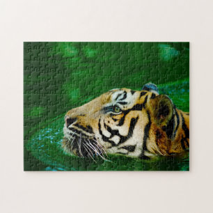 Quebra-cabeça Gatos grandes do tigre Malayan