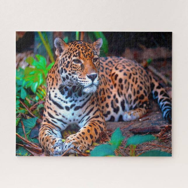 Quebra-cabeça Gatos Grandes Jaguar. (Horizontal)