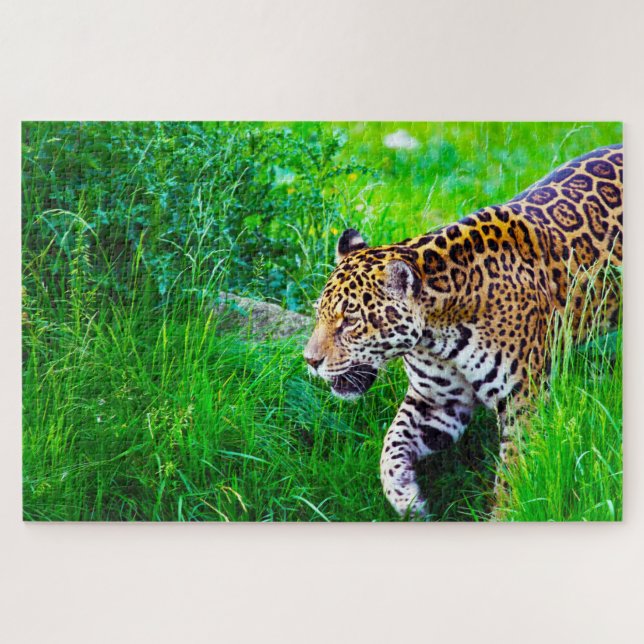 Quebra-cabeça Gatos Grandes Jaguar. (Horizontal)