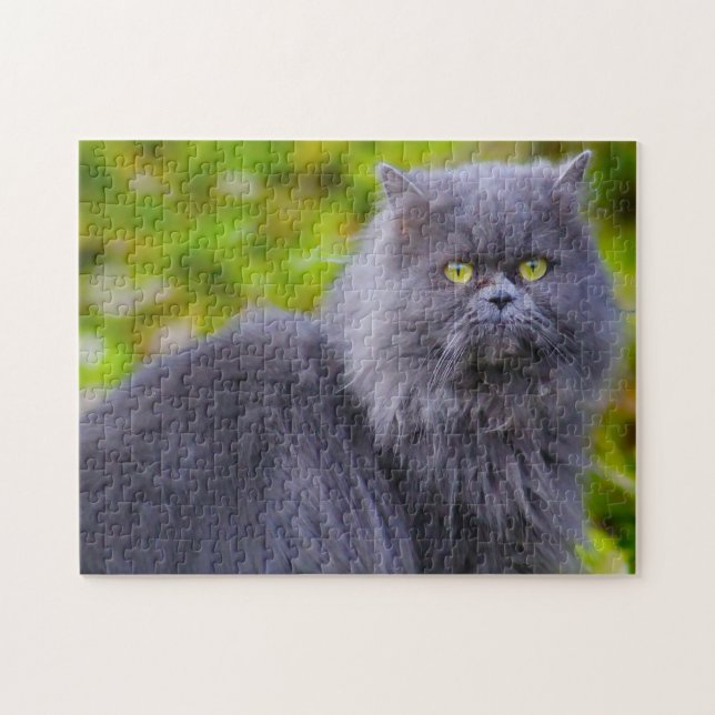 Quebra-cabeça Gatos Persas. (Horizontal)