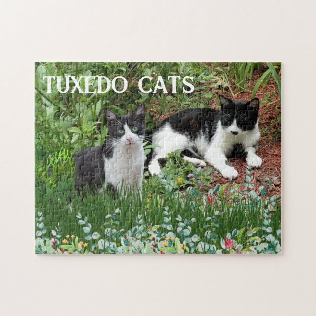 Quebra-cabeça Gatos pretos e brancos em jardim de flores (Horizontal)
