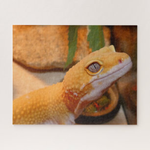 Quebra-cabeça Gecko Amarelo-Leopardo