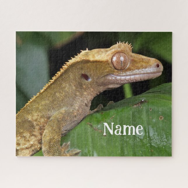 Quebra-cabeça Gecko Pet Lizard preso personalizado (Horizontal)