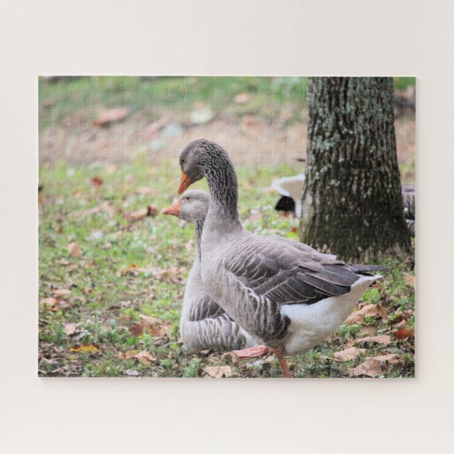 Quebra-cabeça Geese (Horizontal)