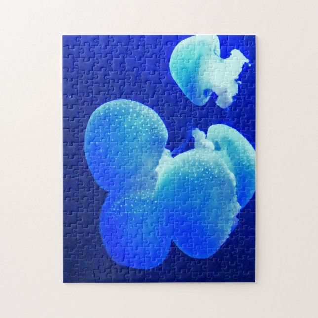 Quebra-cabeça Geleia Fish. (Vertical)