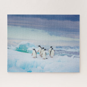 Quebra-cabeça Gelo e neve Pinguins de adenda Antártica