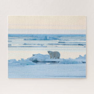 Quebra-cabeça Gelo e neve Polar Bear Iceberg Noruega