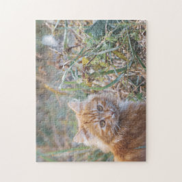 Quebra-cabeça Gengibre Gengibre Gengibre Gutil Gutil Grama