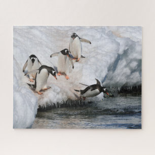 Quebra-cabeça Gentoo Penguins pulando em água na Antártica