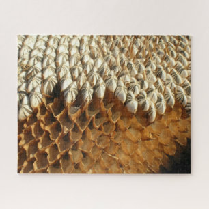 Quebra-cabeça - Geometria das naturas em girassol