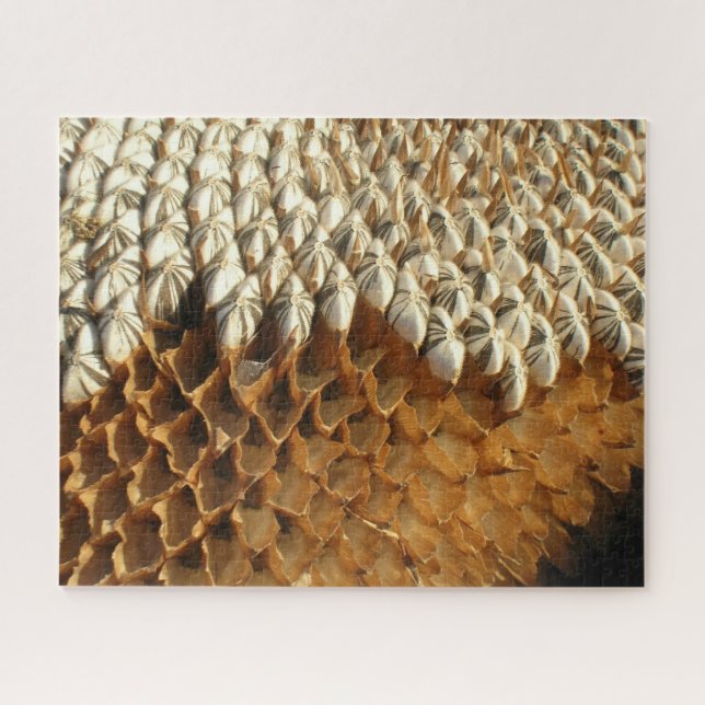 Quebra-cabeça - Geometria das naturas em girassol (Horizontal)