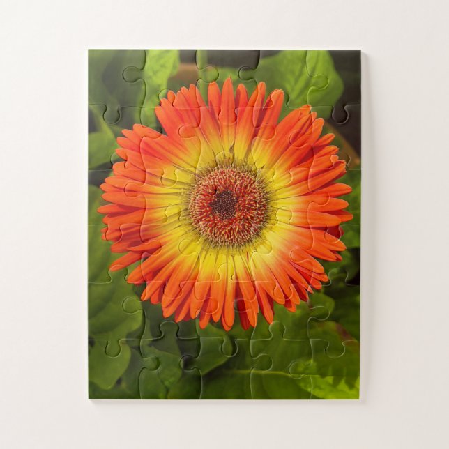 Quebra-cabeça Gerbera Sunburst | Tributo à Alzheimer (Vertical)