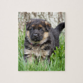 Quebra-cabeça German shepherd