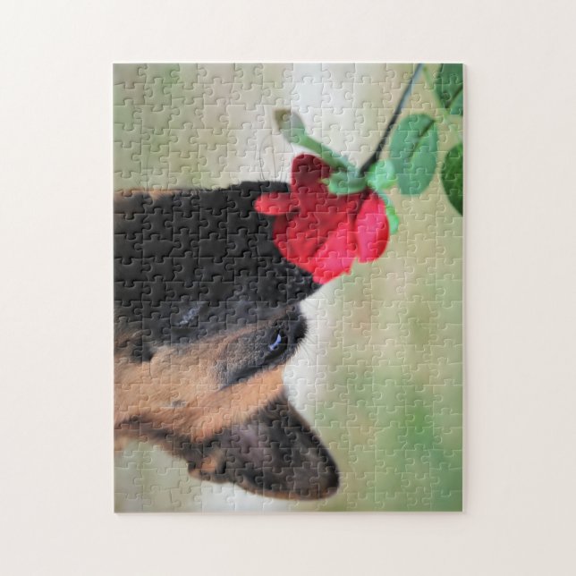 Quebra-cabeça German shepherd com Rosa vermelha (Vertical)
