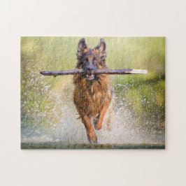 Quebra-cabeça German shepherd com Stick
