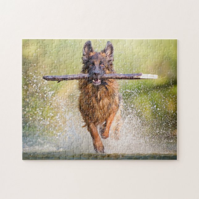 Quebra-cabeça German shepherd com Stick (Horizontal)