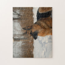 German shepherd na neve