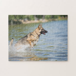 Quebra-cabeça German shepherd Salta Em Água