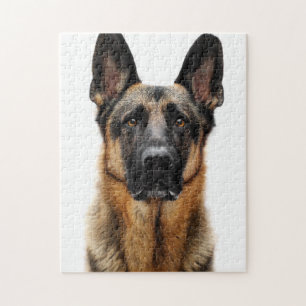 Quebra-cabeça German shepherd Sentado