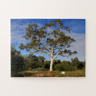 Quebra-cabeça Ghost gum tree, Outback Austrália
