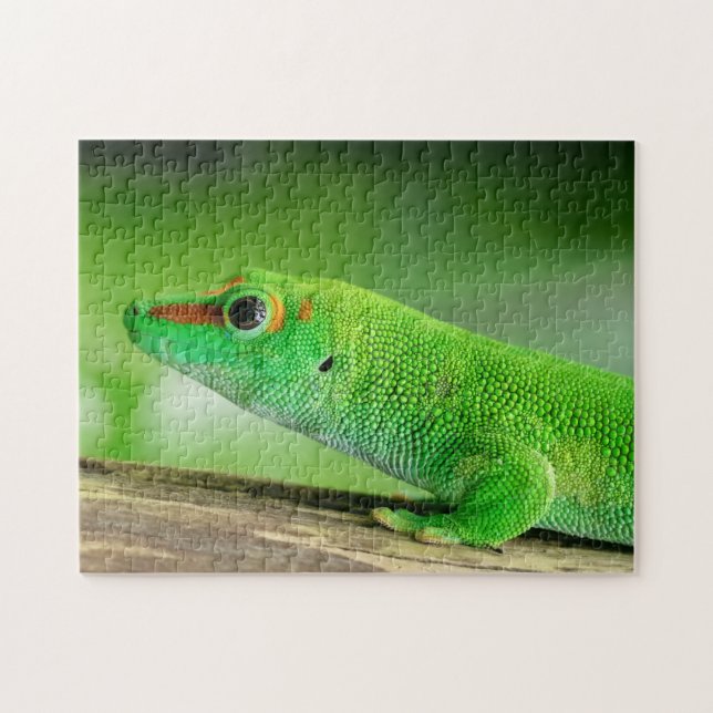 Quebra-cabeça Giant Green Day Gecko - Phelsuma grandis (Horizontal)