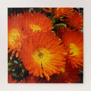 Quebra-cabeça Giant Orange Daisies,