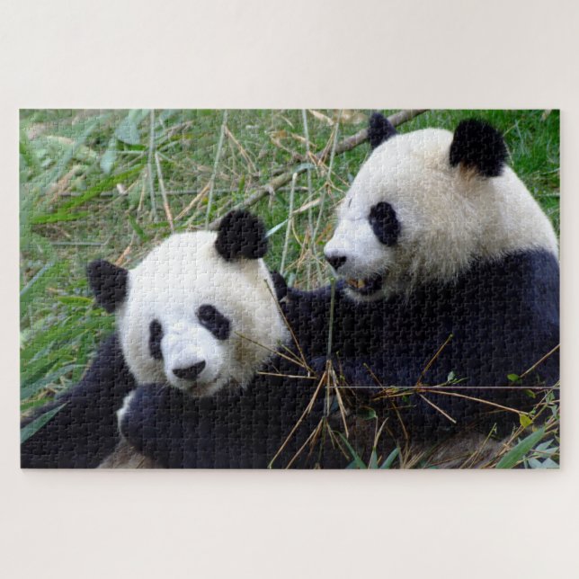 Quebra-cabeça Giant Panda - Love & Bamboo /China Bears (Horizontal)