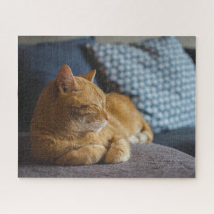 Quebra-cabeça Ginger Cat