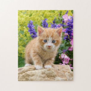 Quebra-cabeça Ginger Ginger Kitten no Jardim das Flores _
