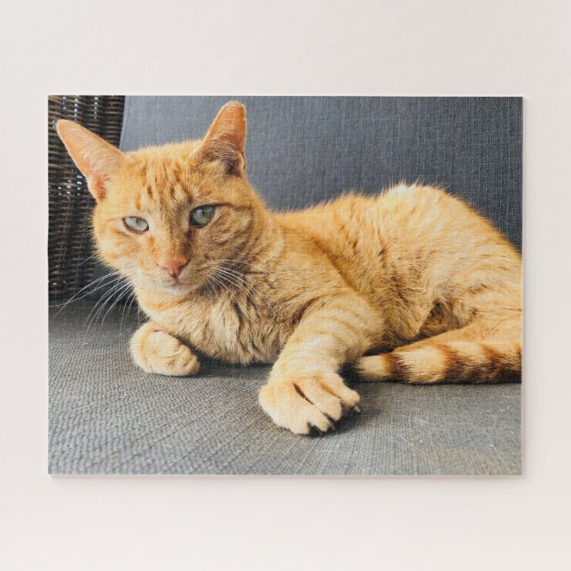 Quebra-cabeça Ginger TortoisesInferno Cat relaxando na cadeira (Horizontal)