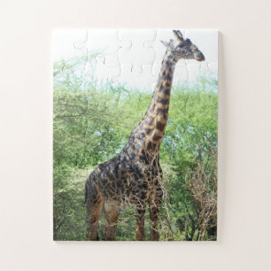 Quebra-cabeça Girafa