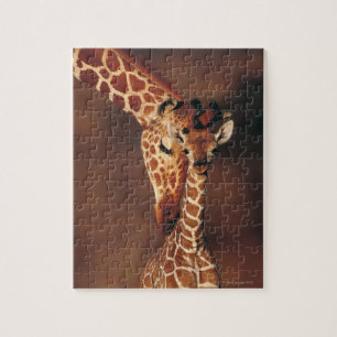 Quebra-cabeça Girafa adulto com vitela (camelopardalis do