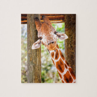 Quebra-cabeça Girafa bonito