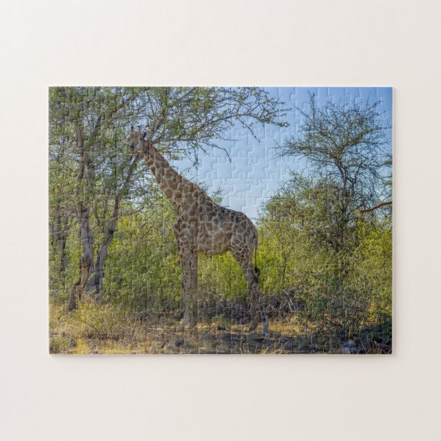 Quebra-cabeça Girafa em Habitat Natural, África (Horizontal)