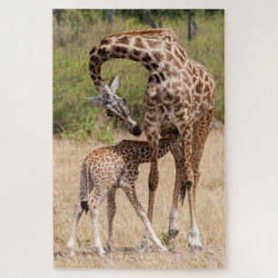 Quebra-cabeça Girafa Mãe e Bebê no Quênia