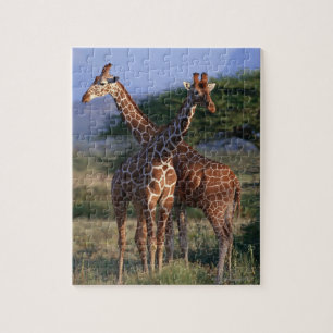 Quebra-cabeça Girafa Reticulated 2