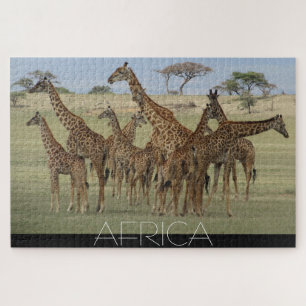 Quebra-cabeça girafas africanas