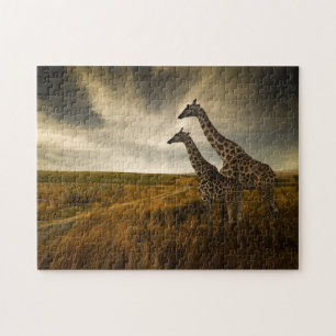 Quebra-cabeça Girafas e a paisagem