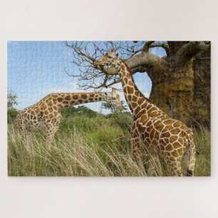 Quebra-cabeça Girafas no campo africano por algumas árvores