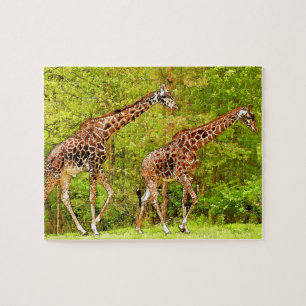Quebra-cabeça Girafas selvagens - Vida selvagem africana