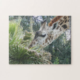 Quebra-cabeça Giraffe Comendo Próximo